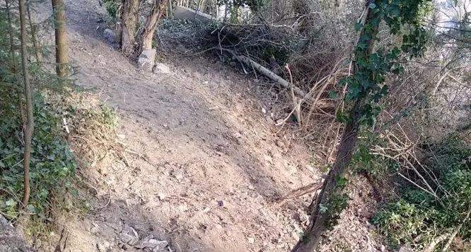 La Forestale scova e denuncia due bracconieri