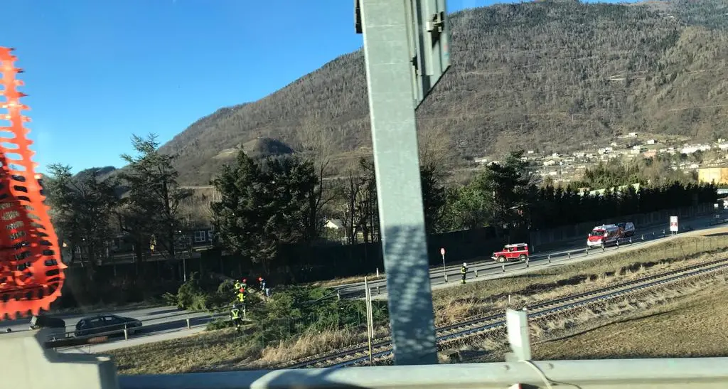 Forti raffiche di vento, a Levico albero schiantato sulla provinciale