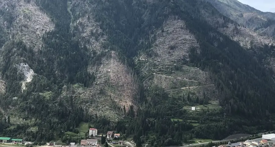 Due studi sulla pericolosità del versante delle Coste