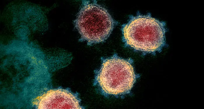 Tutto quello che sappiamo sinora sul coronavirus