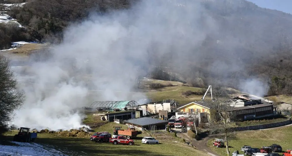 Brentonico, incendio distrugge una stalla e uccide venti mucche