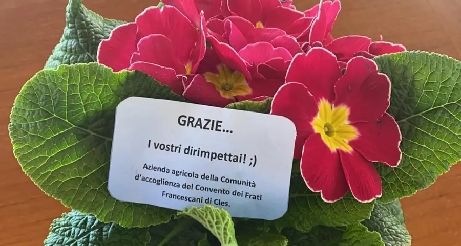 Denno, dalle associazioni più di 14 mila euro per la sanità
