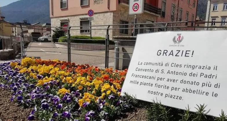 Mille piante fiorite donate a Cles dai francescani