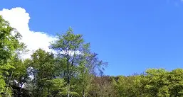Vallelaghi, all’asta tre malghe canoni da 2.600 a 7.600 euro
