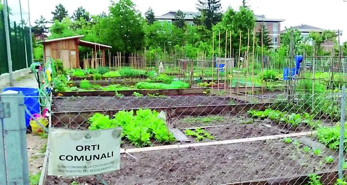 Nei 42 orti comunali di Cles l’accesso è contingentato