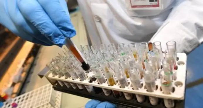 Coronavirus in Trentino, la Cgil accusa: negati i tamponi ad alcuni operatori sanitari
