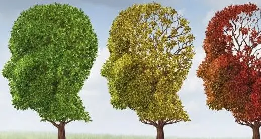 Alzheimer, oggi nuovo incontro a Borgo Chiese
