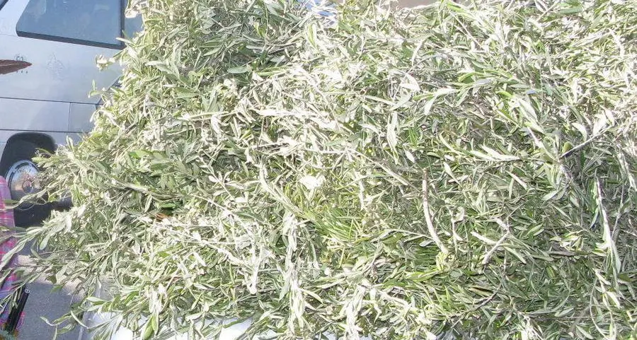 Fedrigoni e Cartiere del Garda fermano la produzione