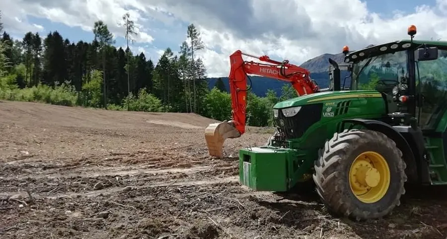 Un castagneto sta nascendo nella pineta ferita di Alberé