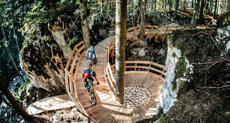 «In paganella percorsi downhill nel bosco “addomesticato”»