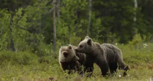 M49, confermata in giudizio la correttezza dell'operato della Provincia