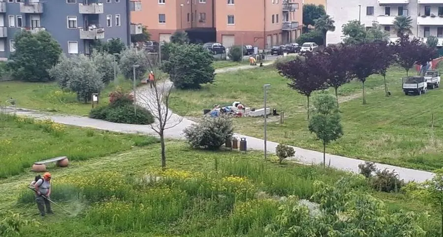 Il Wwf attacca «lo sfregio» sul Brione