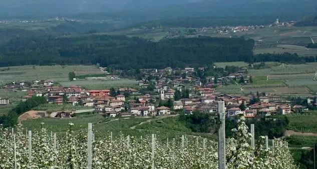 Asuc Predaia: «Si annulli l’incarico di tesoreria»