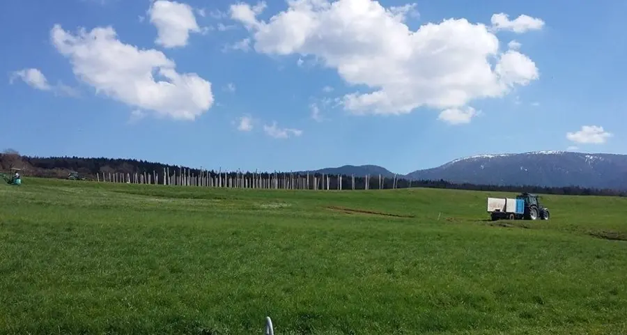 «Nella tutela dei Pradiei manca solo la Provincia»