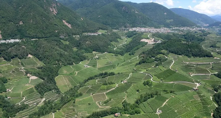 Paesaggi Rurali Storici, la Val di Cembra in corsa