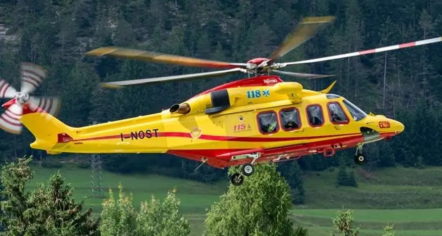 Val di Fiemme, asino aggredisce un 76enne