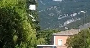 Gli autisti: «Siepe pericolosa»