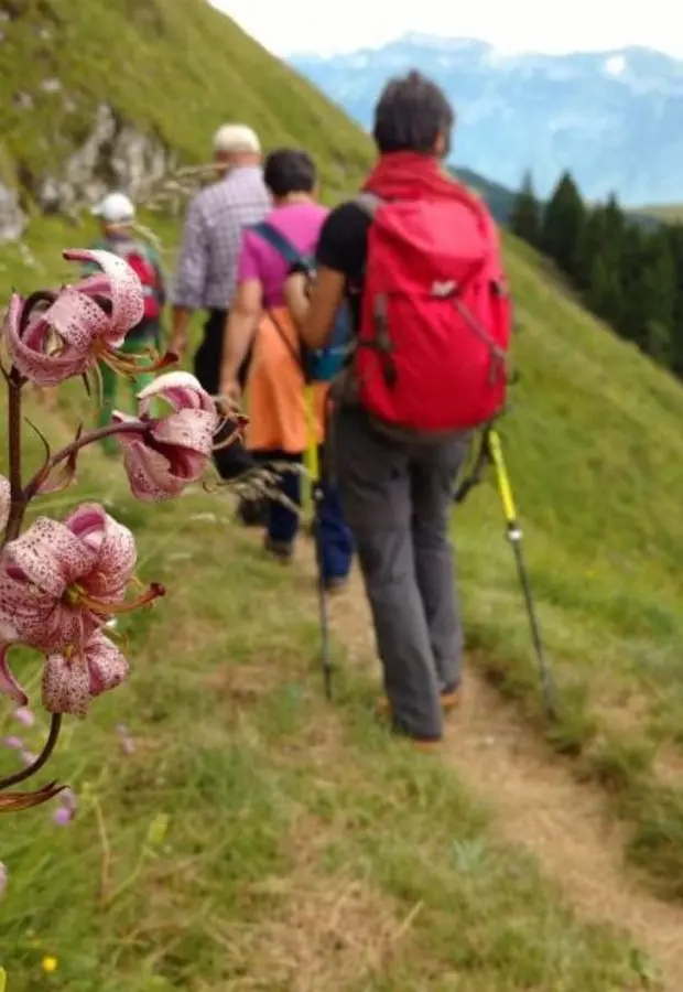 La natura verrà in soccorso dell’estate senza sagre e simposio