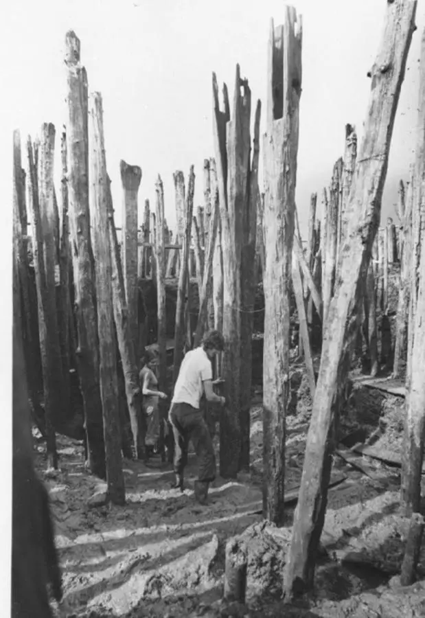 Palafitte, raccolta materiali per la mostra