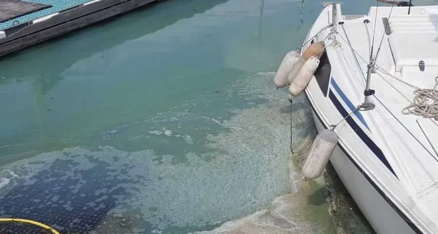 Le alghe irritanti invadono la Velica Trentina