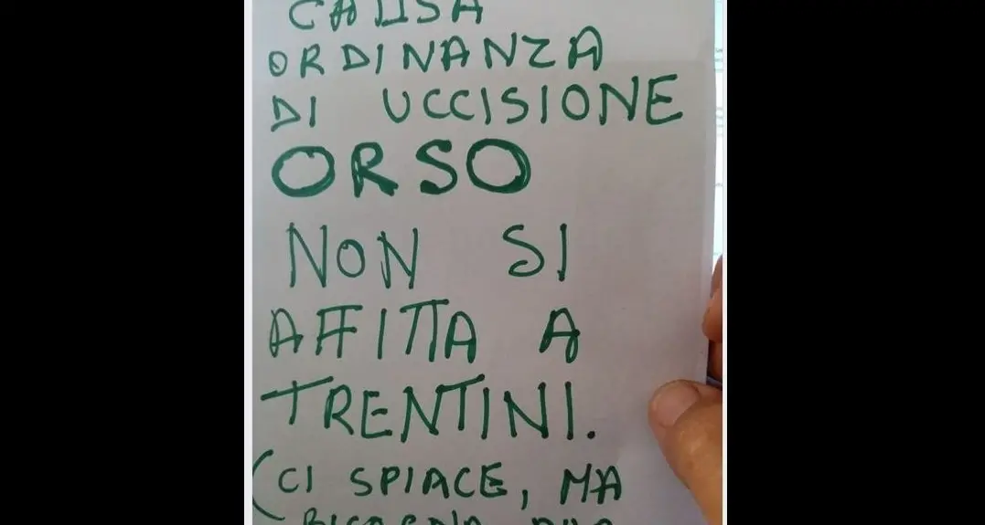 Castrato l'orso M49. E ora al sud ci boicottano