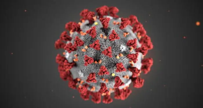 Coronavirus, quinto giorno consecutivo senza nuovi contagi in Trentino