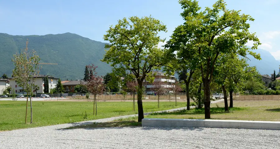 Matteotti “scalda” il clima elettorale con il programma