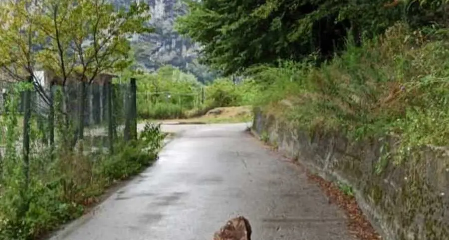 Masso si stacca dalle pendici dell’eremo a Prabi