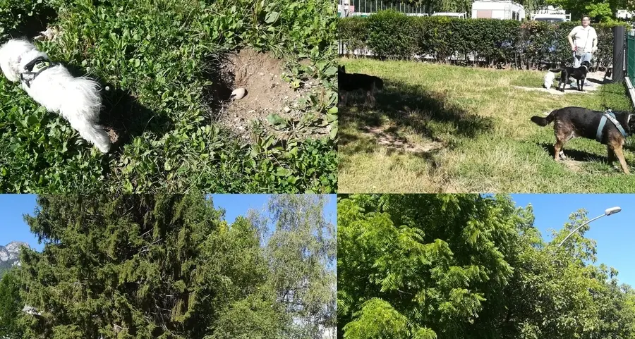 A Mezzolombardo servirebbero nuove aree cani