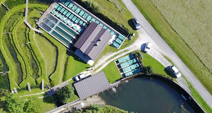 I pescatori: «Bando al cloro e reti fognarie migliori»