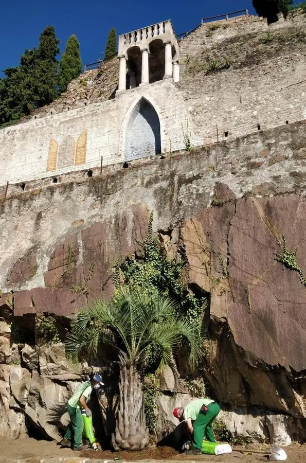 Lavis, il giardino dei Ciucioi si veste di verde esotico