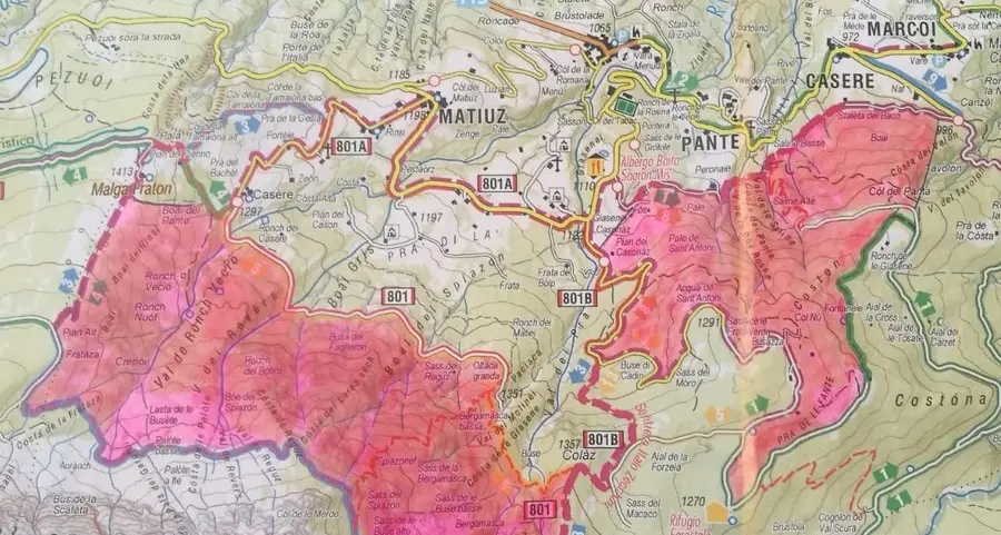 «A Sagron Mis 2 siti per ospitare l’orso M49»