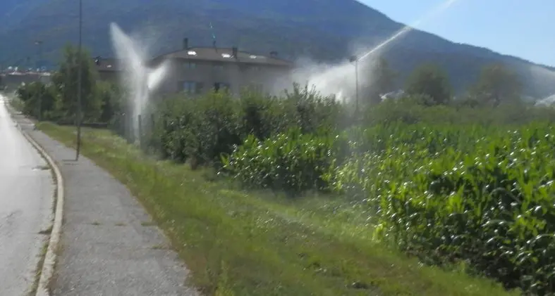 Il maltempo ha graziato le campagne del Perginese