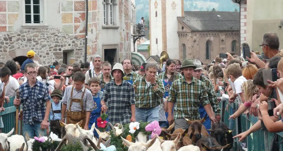 Torna la “Desmontegada” e sostiene davvero i pastori