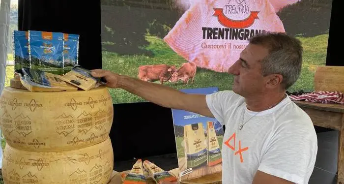 Trentingrana verso un unico \"polo\" del formaggio