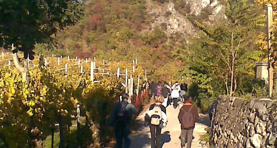 Una camminata in compagnia prima della cena