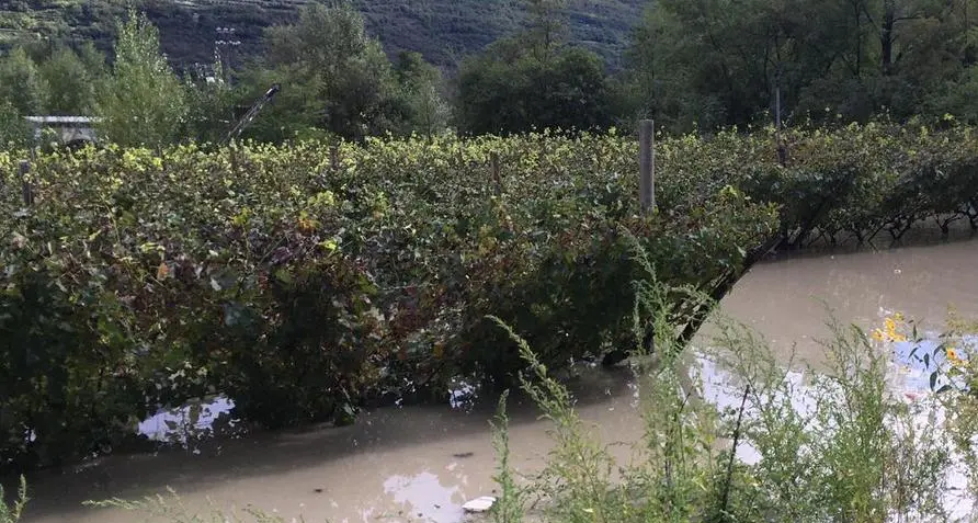 Ore di paura con la Sarca in piena