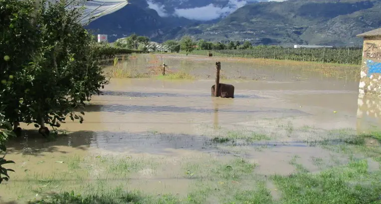 «Per evitare disastri pulizia e dragatura della Sarca»
