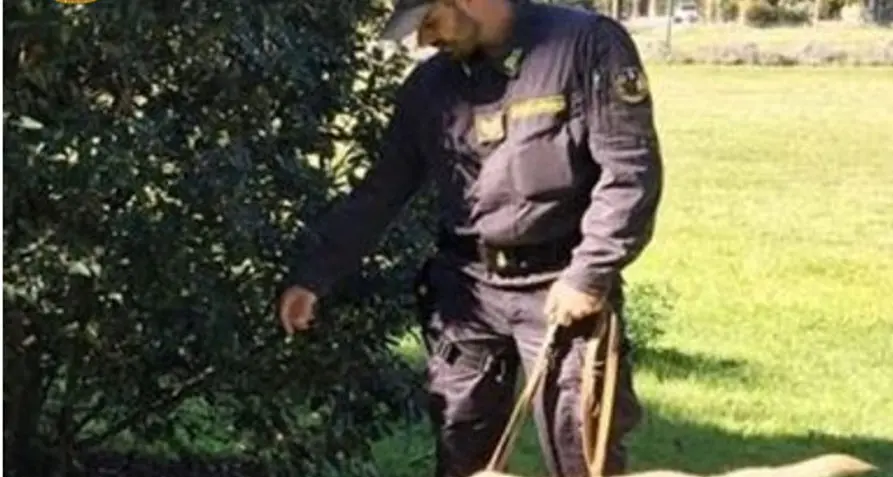Trento vuole cani da pattuglia contro la criminalità, via al progetto