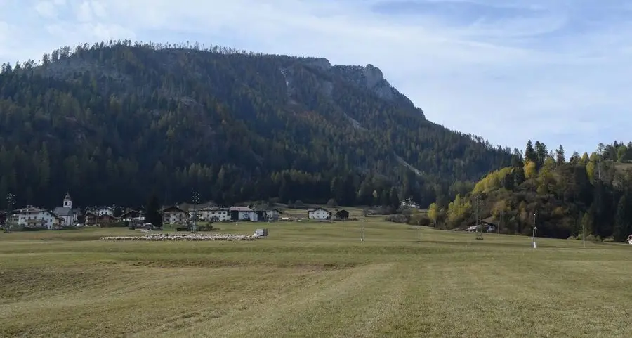 A Sorte un ampio solco traccia la pista di esbosco