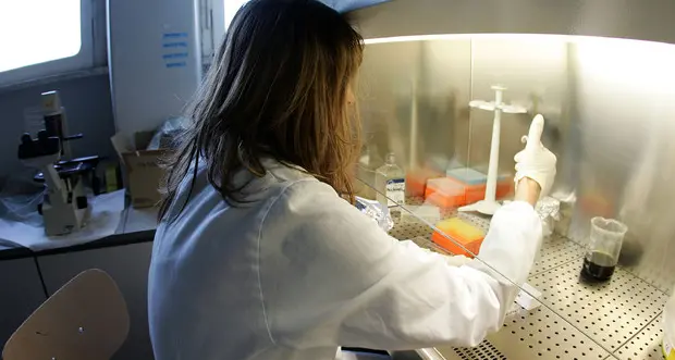 \"Coronavirus, il 95% dei contagiati asintomatico o con pochi sintomi\"