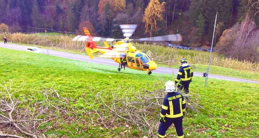 Travolto dall’albero ferito uomo di 67 anni