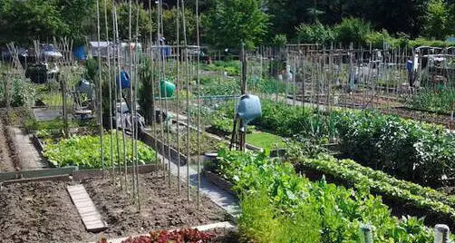 Altavalle, regole più semplici per accedere al bonus natalità