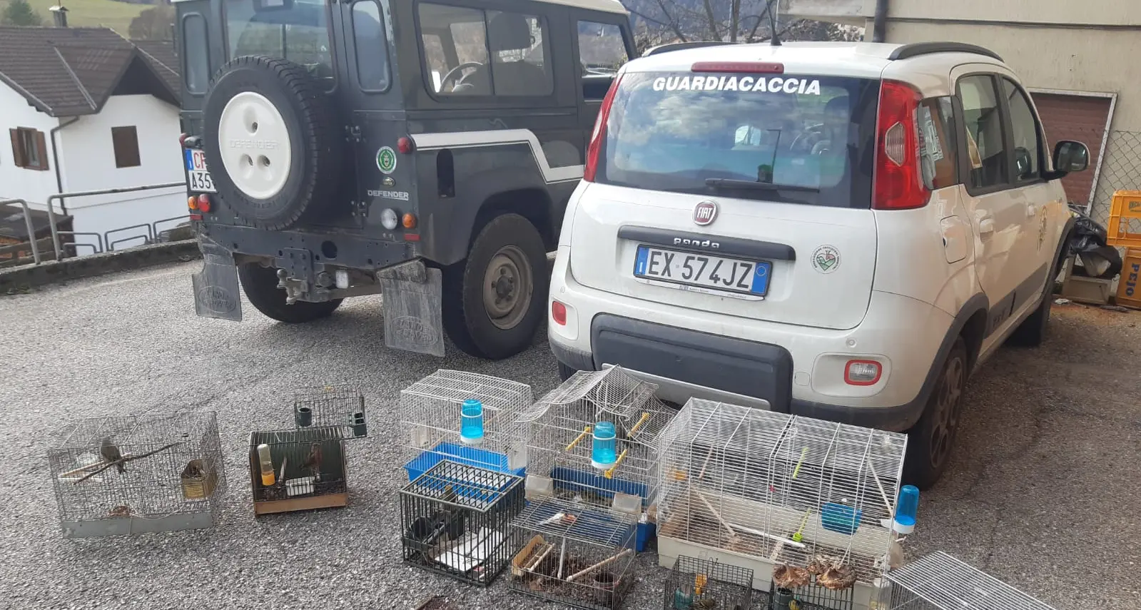 Bracconaggio, quattro denunciati in Valsugana