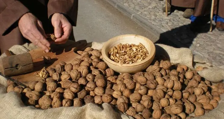 Noci del Bleggio buona produzione ma niente festa