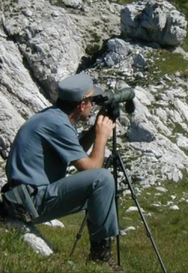 Andalo e Mezzolombardo cercano due custodi forestali