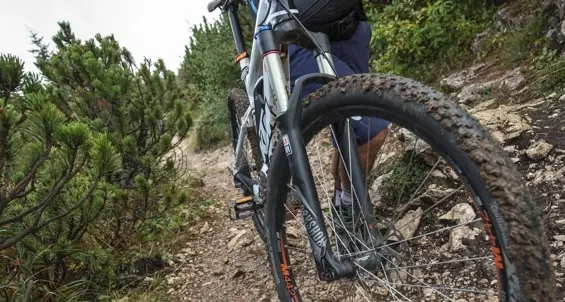 Anche Predaia partecipa al “Roén E-Bike Park”