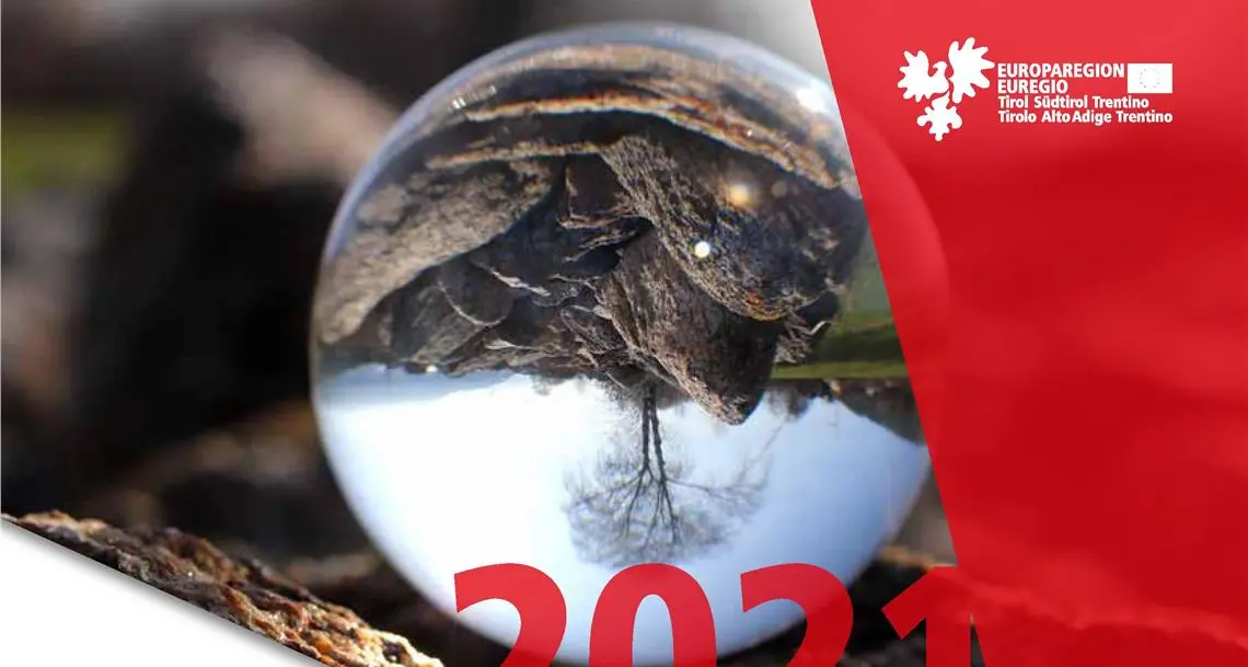 Euregio-Kalender 2021: Tirol, Südtirol und Trentino in Bildern