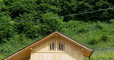 Ricovero animali abbandonati, gestore cercasi