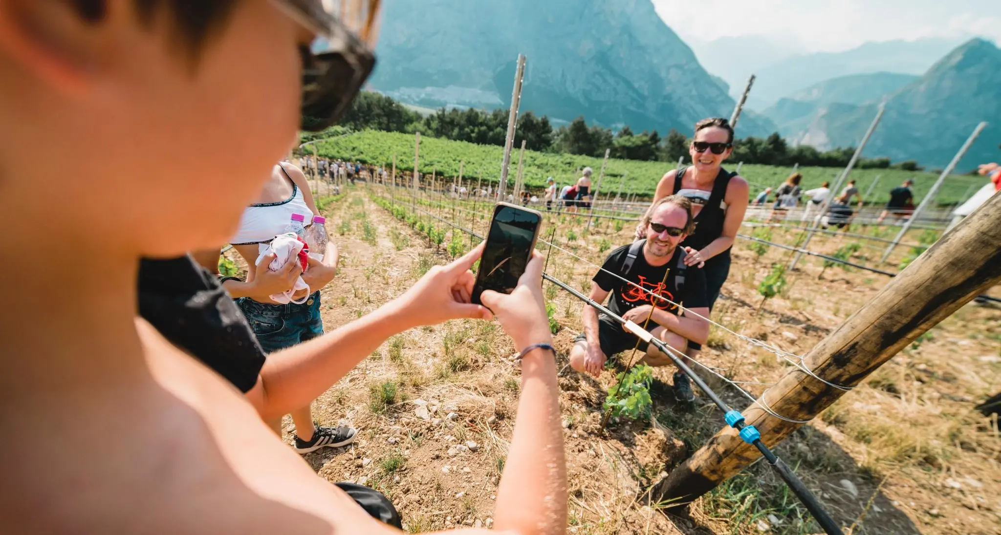 Le vigne comunicano emozioni con l'intelligenza artificiale